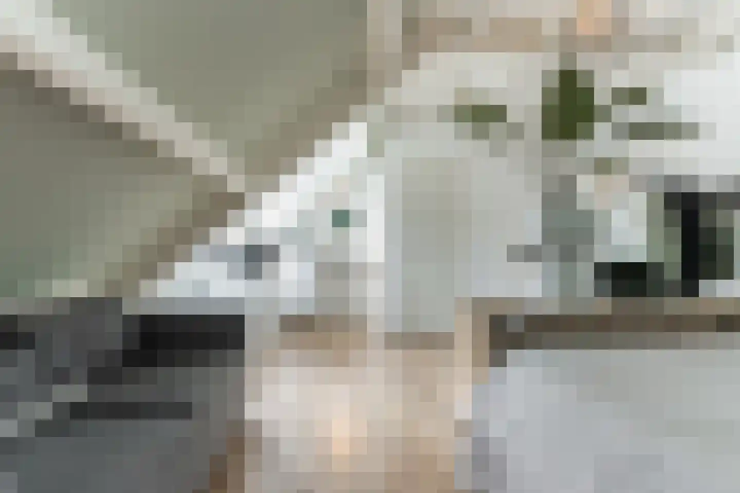 Hendrik Chabotstraat 1 Waalwijk thumbnail 47