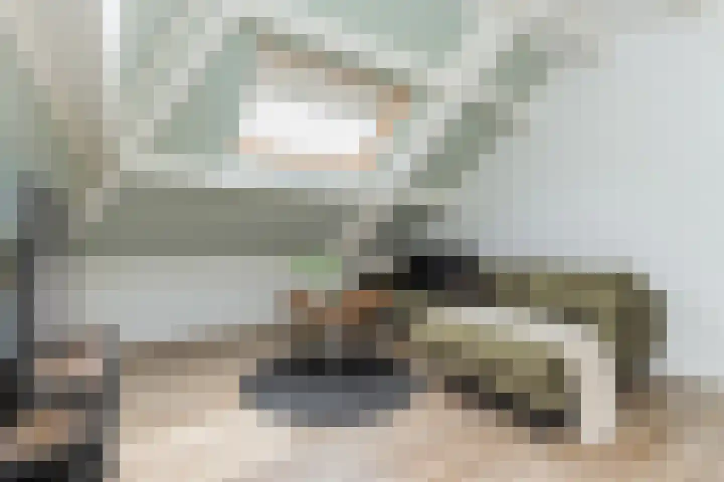 Hendrik Chabotstraat 1 Waalwijk thumbnail 50