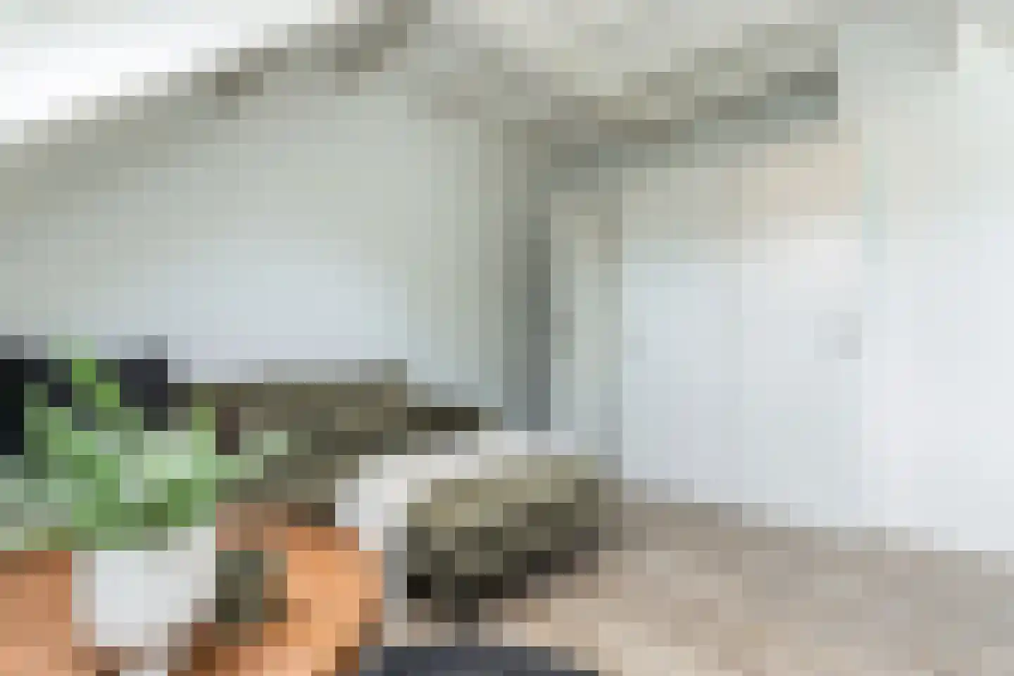 Hendrik Chabotstraat 1 Waalwijk thumbnail 51