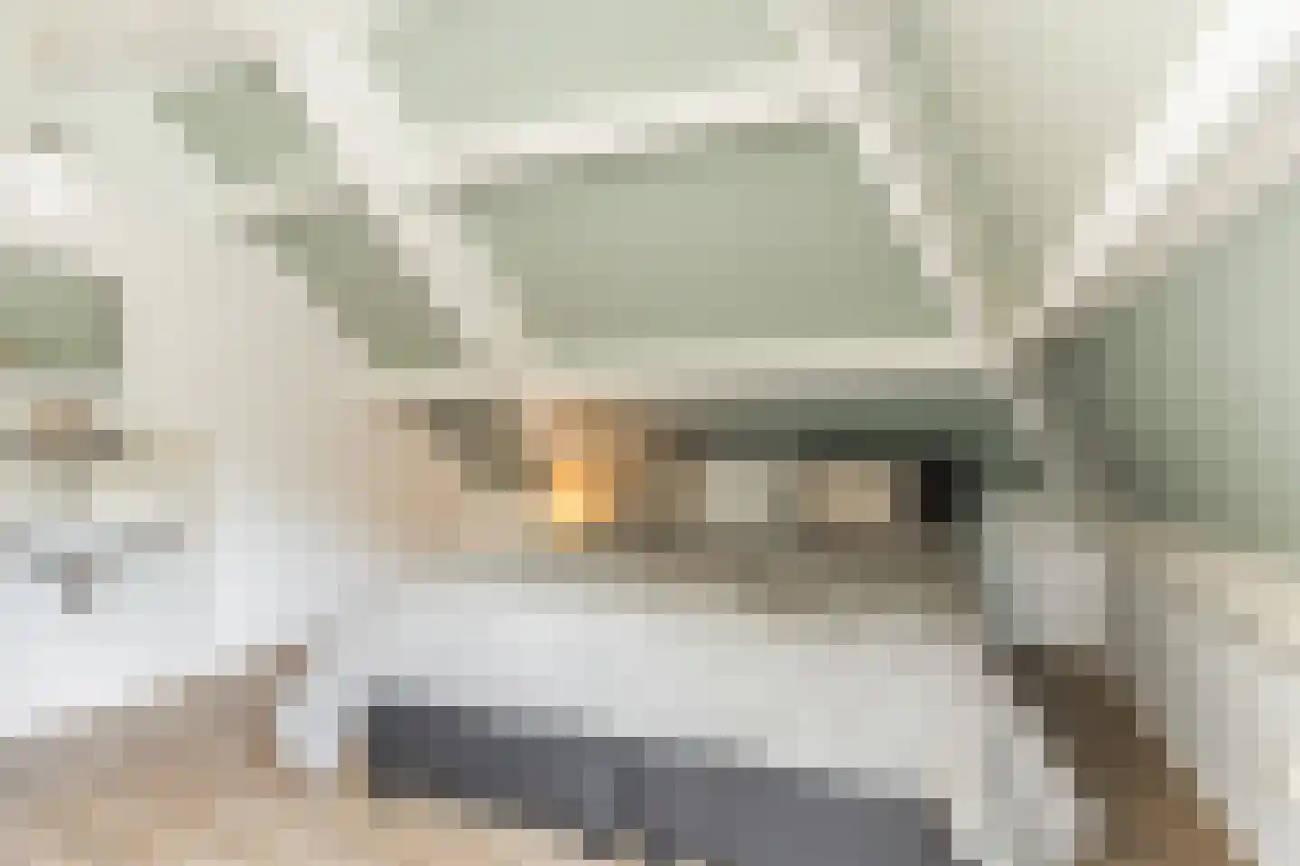 Hendrik Chabotstraat 1 Waalwijk thumbnail 52