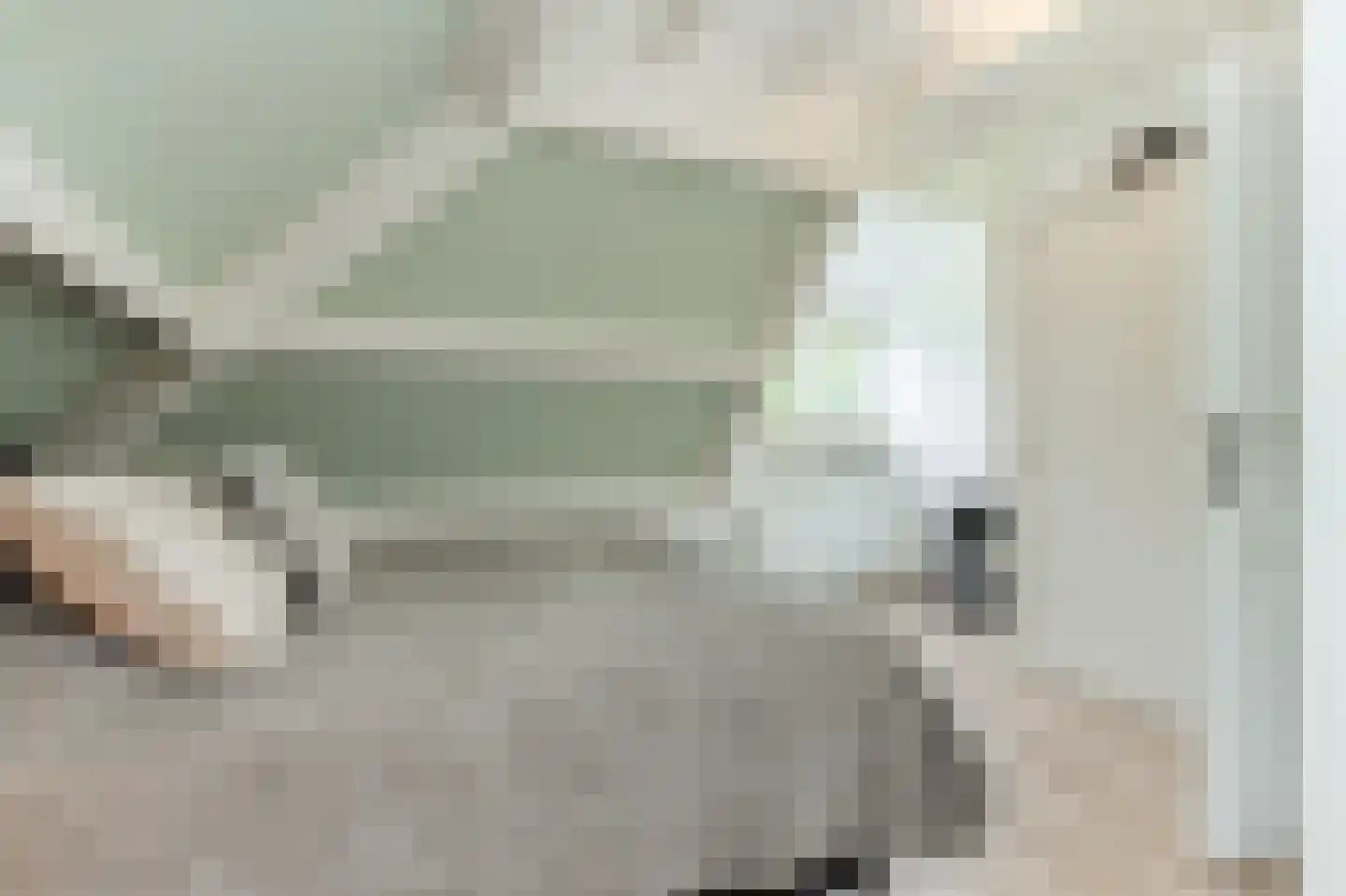 Hendrik Chabotstraat 1 Waalwijk thumbnail 54