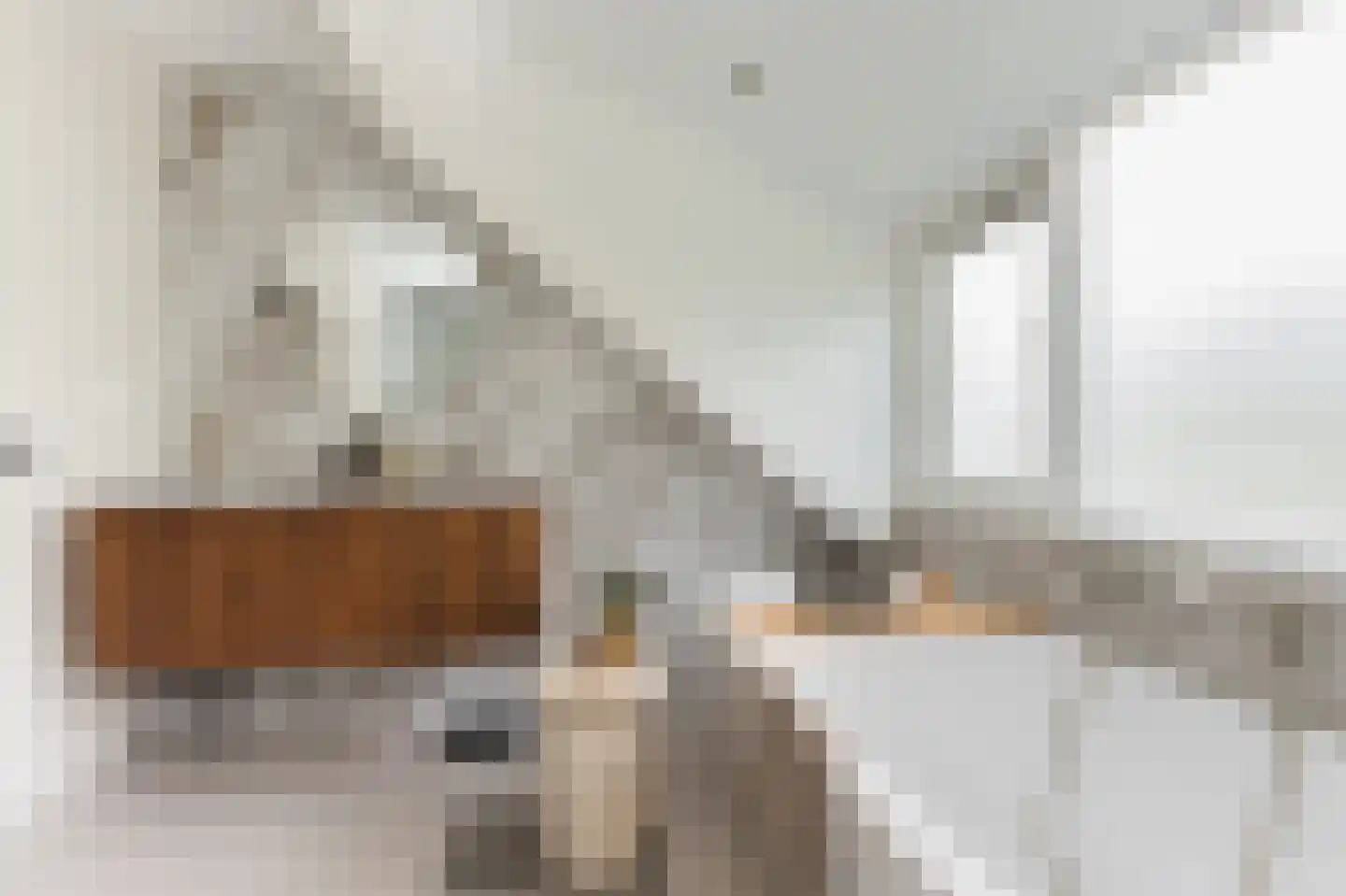 Hendrik Chabotstraat 1 Waalwijk thumbnail 56