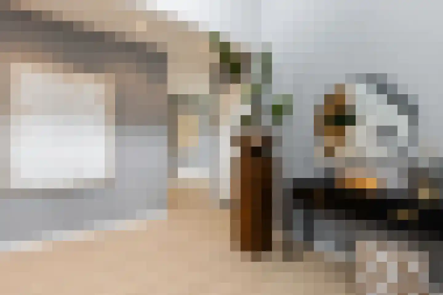 Hendrik Chabotstraat 1 Waalwijk thumbnail 7