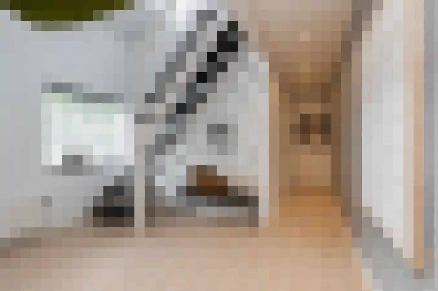 Hendrik Chabotstraat 1 Waalwijk thumbnail 9