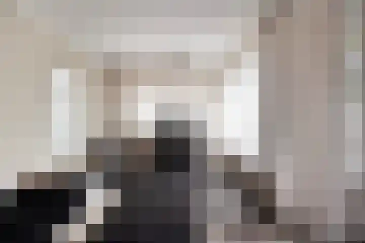Hendrik Chabotstraat 2 Rosmalen thumbnail 10