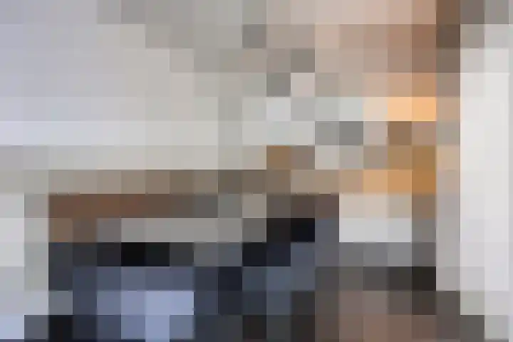 Hendrik Chabotstraat 2 Rosmalen thumbnail 11