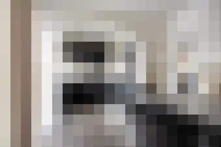 Hendrik Chabotstraat 2 Rosmalen thumbnail 12