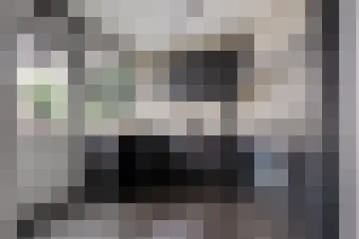 Hendrik Chabotstraat 2 Rosmalen thumbnail 14