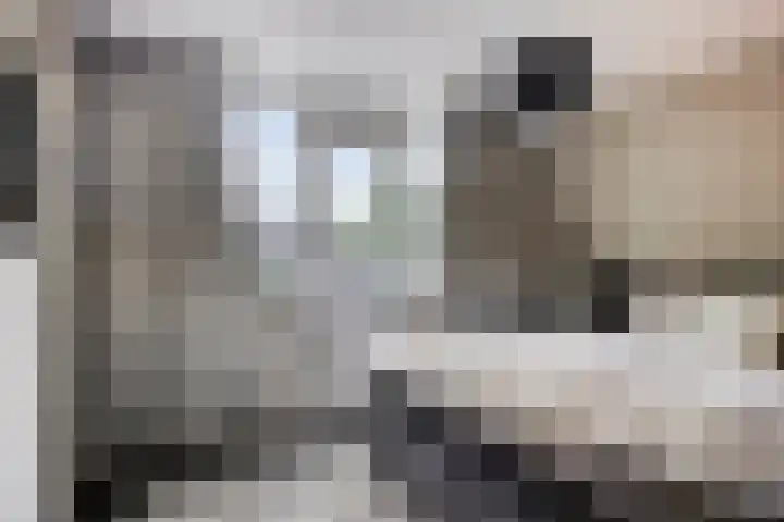 Hendrik Chabotstraat 2 Rosmalen thumbnail 16