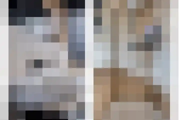 Hendrik Chabotstraat 2 Rosmalen thumbnail 20