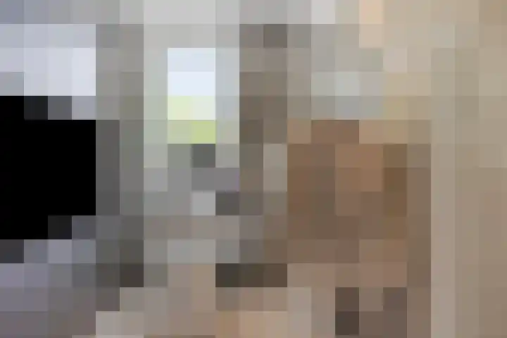 Hendrik Chabotstraat 2 Rosmalen thumbnail 23