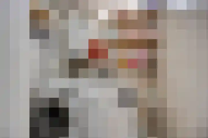 Hendrik Chabotstraat 2 Rosmalen thumbnail 24