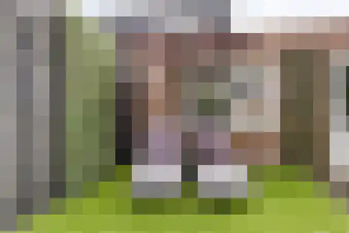 Hendrik Chabotstraat 2 Rosmalen thumbnail 29