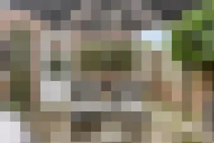 Hendrik Chabotstraat 2 Rosmalen thumbnail 30