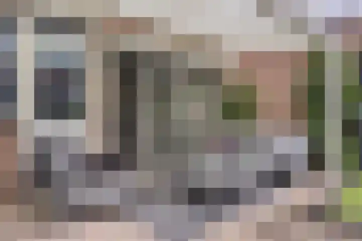 Hendrik Chabotstraat 2 Rosmalen thumbnail 31