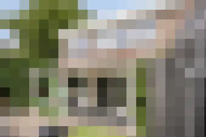 Hendrik Chabotstraat 2 Rosmalen thumbnail 34