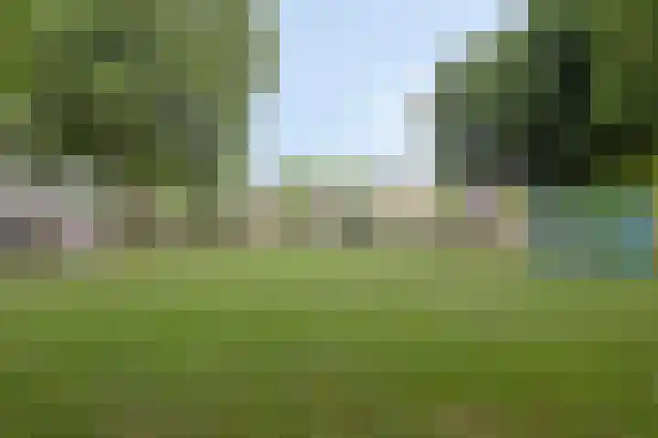 Hendrik Chabotstraat 2 Rosmalen thumbnail 41