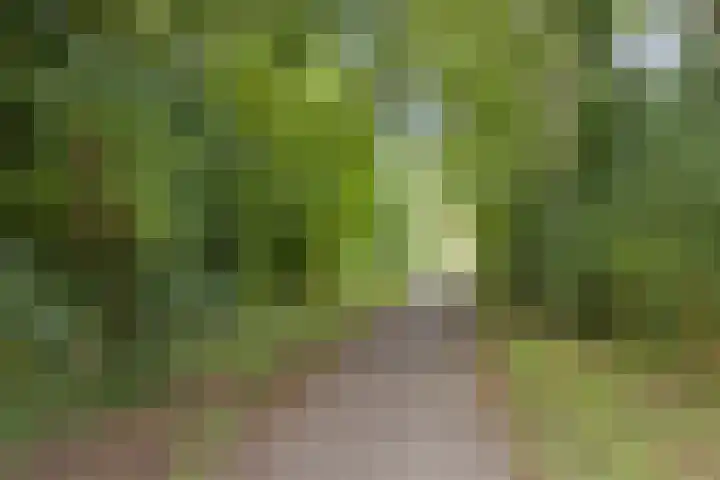 Hendrik Chabotstraat 2 Rosmalen thumbnail 43