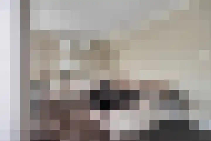 Hendrik Chabotstraat 2 Rosmalen thumbnail 8