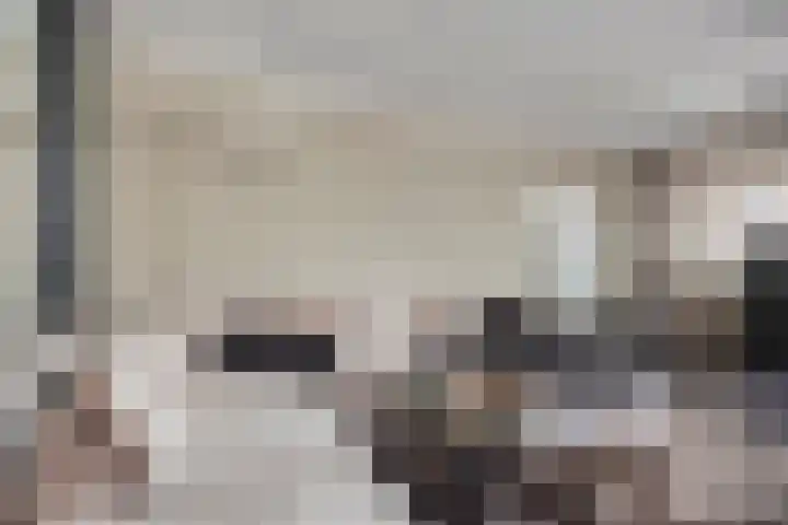 Hendrik Chabotstraat 2 Rosmalen thumbnail 9