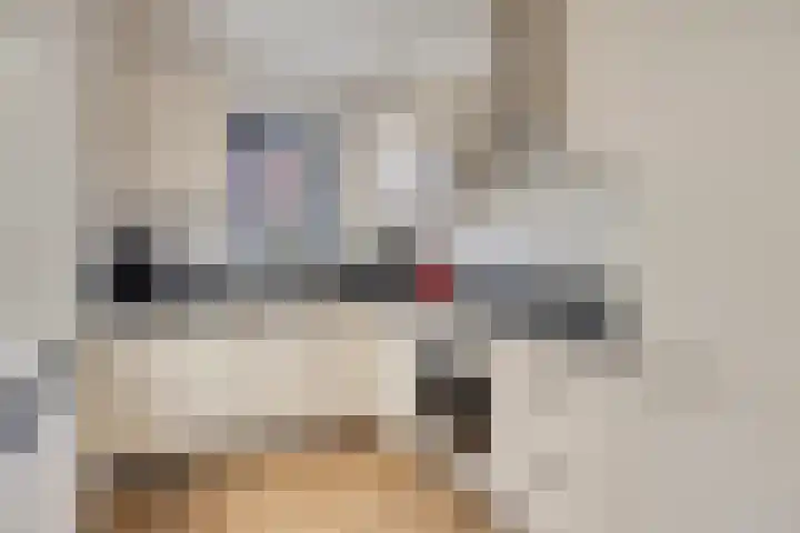Hendrik Chabotstraat 20 Rosmalen thumbnail 10