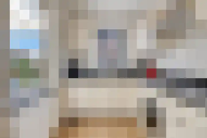 Hendrik Chabotstraat 20 Rosmalen thumbnail 11