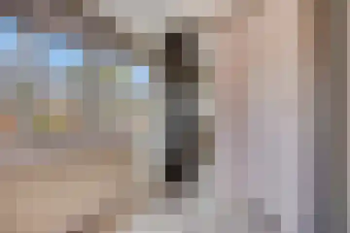 Hendrik Chabotstraat 20 Rosmalen thumbnail 18