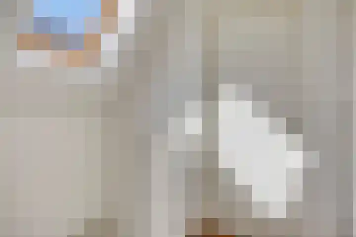 Hendrik Chabotstraat 20 Rosmalen thumbnail 27