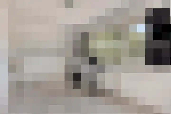 Hendrik Chabotstraat 20 Rosmalen thumbnail 31