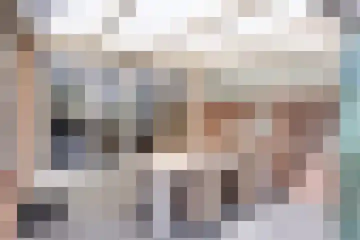 Hendrik Chabotstraat 20 Rosmalen thumbnail 35