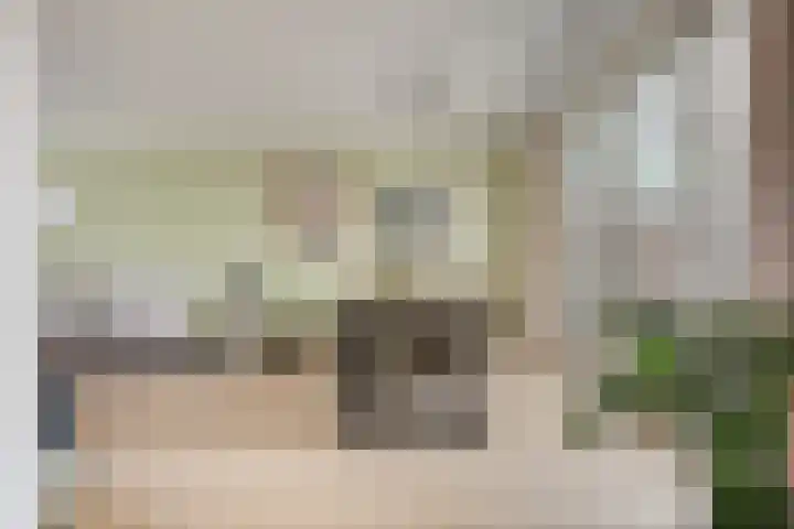 Hendrik Chabotstraat 20 Rosmalen thumbnail 7