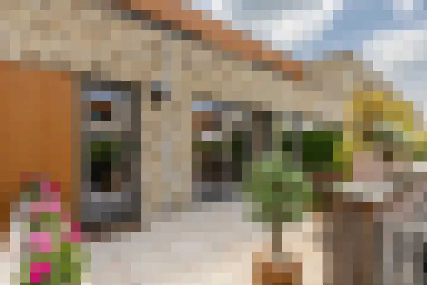 Hendrik Chabotstraat 4 Rhoon thumbnail 13