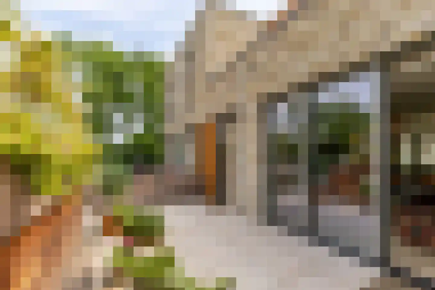 Hendrik Chabotstraat 4 Rhoon thumbnail 14