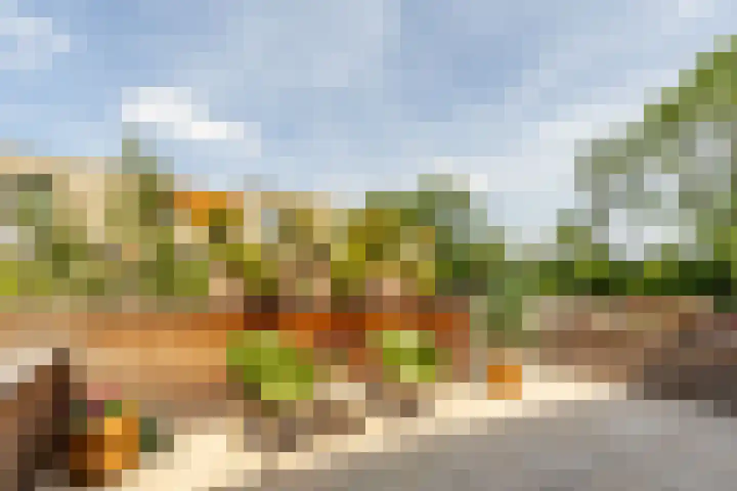 Hendrik Chabotstraat 4 Rhoon thumbnail 15