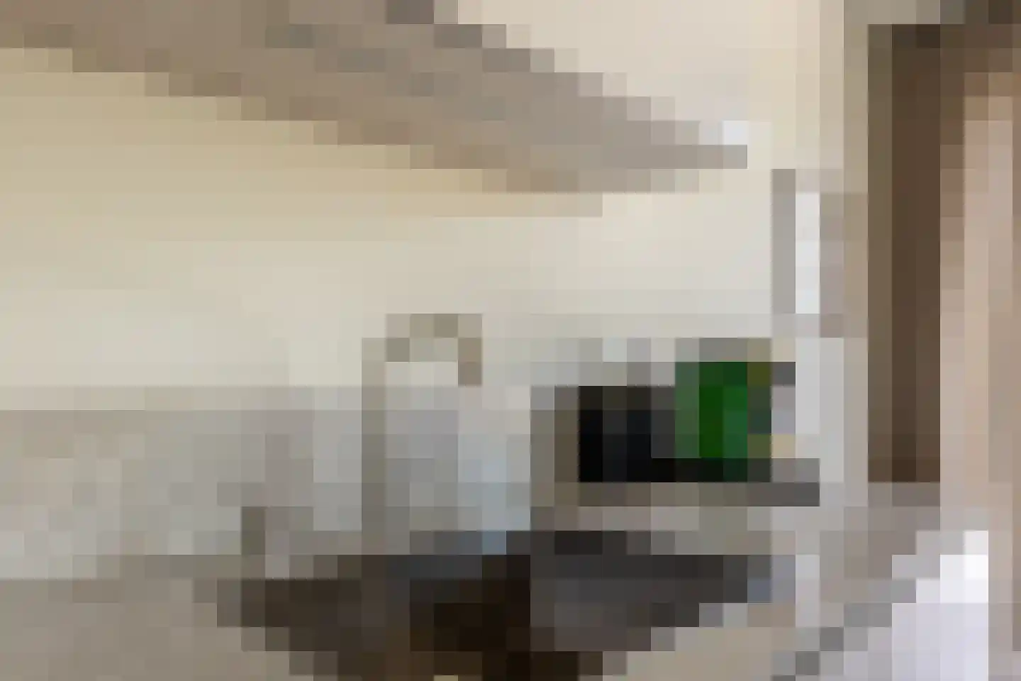 Hendrik Chabotstraat 4 Rhoon thumbnail 18