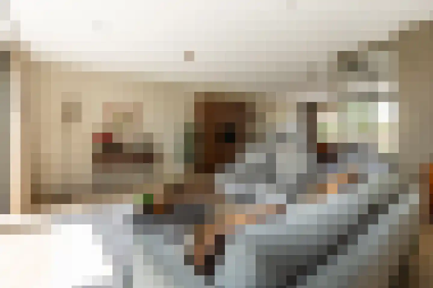 Hendrik Chabotstraat 4 Rhoon thumbnail 22