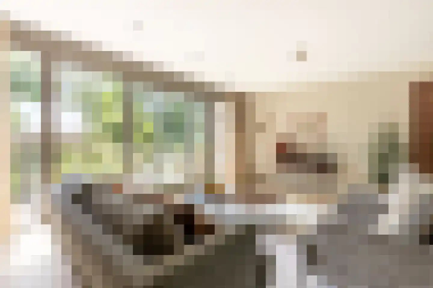 Hendrik Chabotstraat 4 Rhoon thumbnail 23