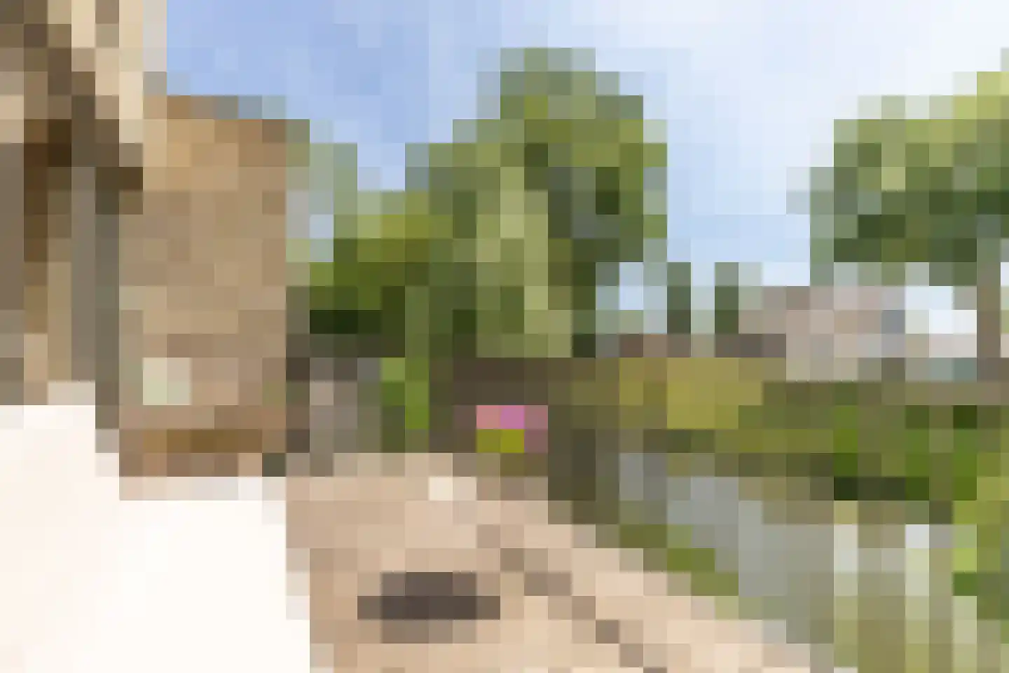 Hendrik Chabotstraat 4 Rhoon thumbnail 25