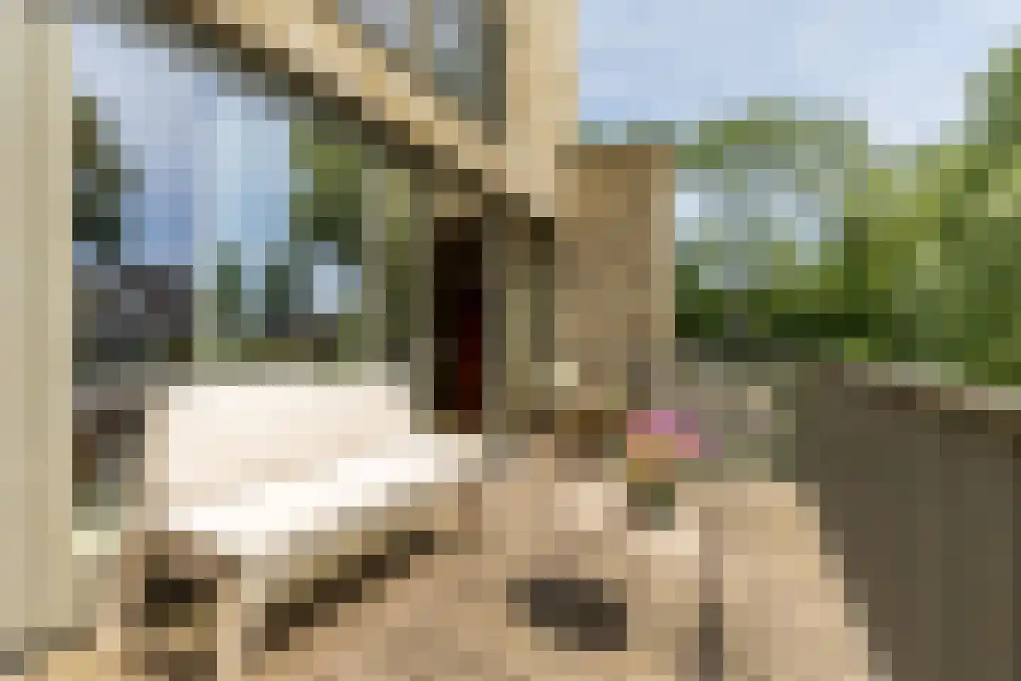 Hendrik Chabotstraat 4 Rhoon thumbnail 26