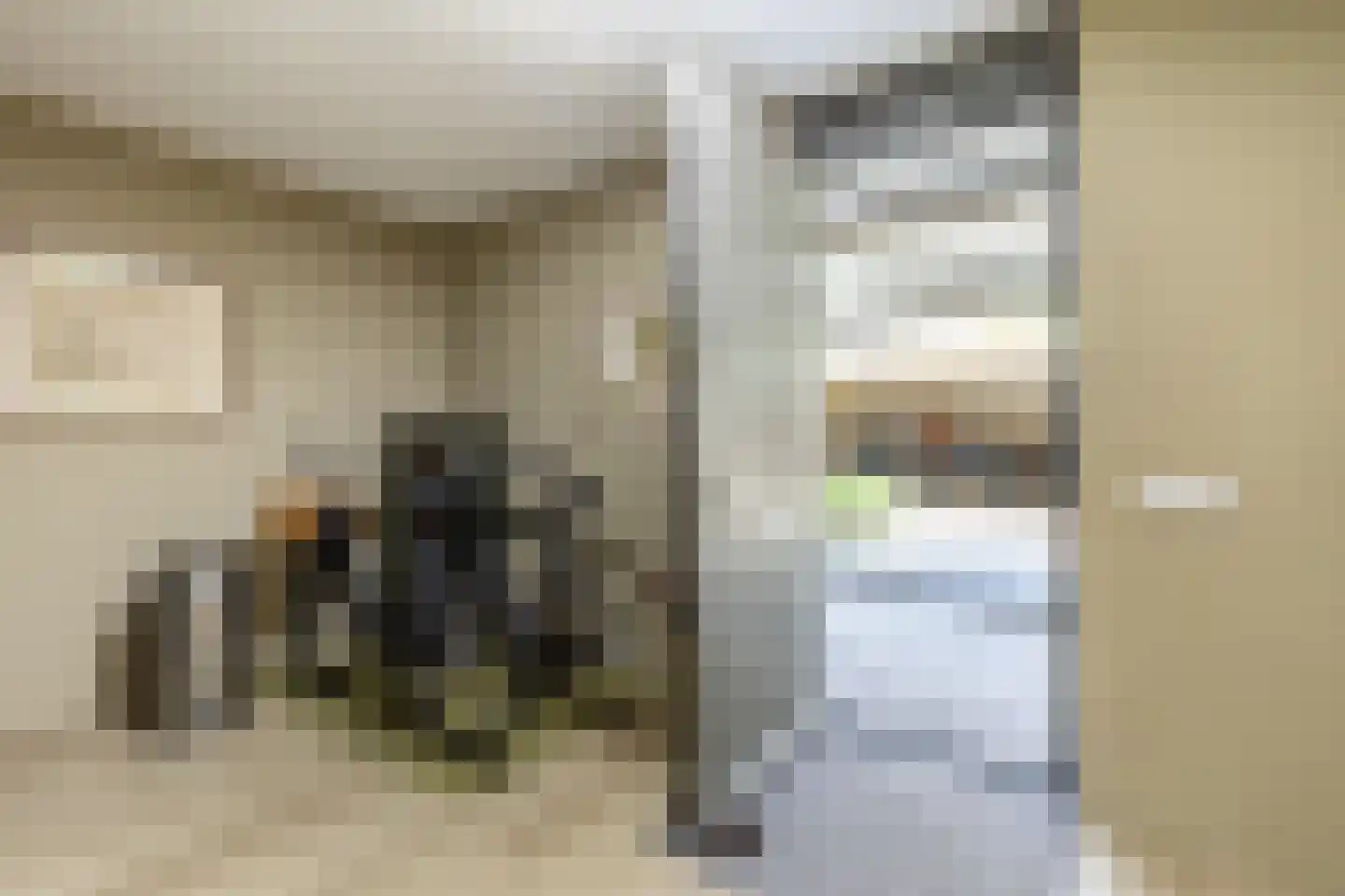 Hendrik Chabotstraat 4 Rhoon thumbnail 29