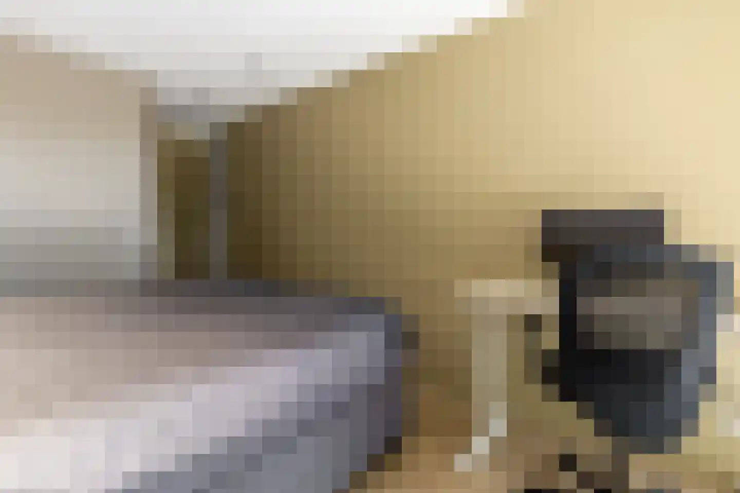 Hendrik Chabotstraat 4 Rhoon thumbnail 31