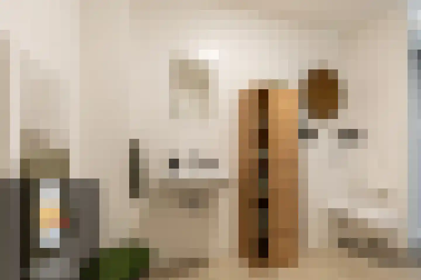 Hendrik Chabotstraat 4 Rhoon thumbnail 33