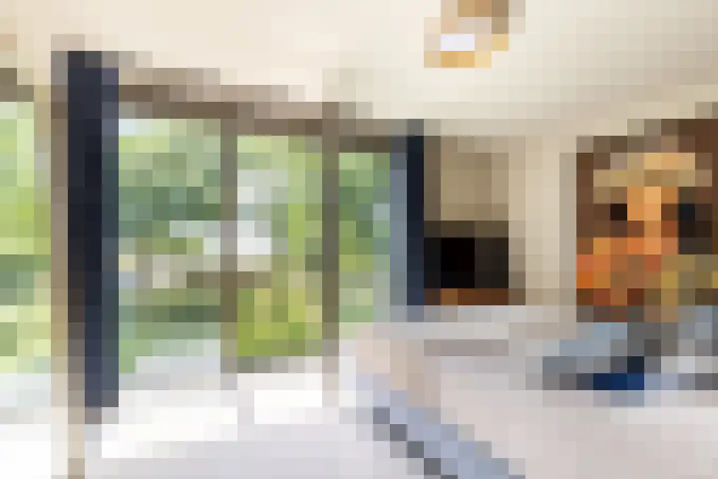 Hendrik Chabotstraat 4 Rhoon thumbnail 37