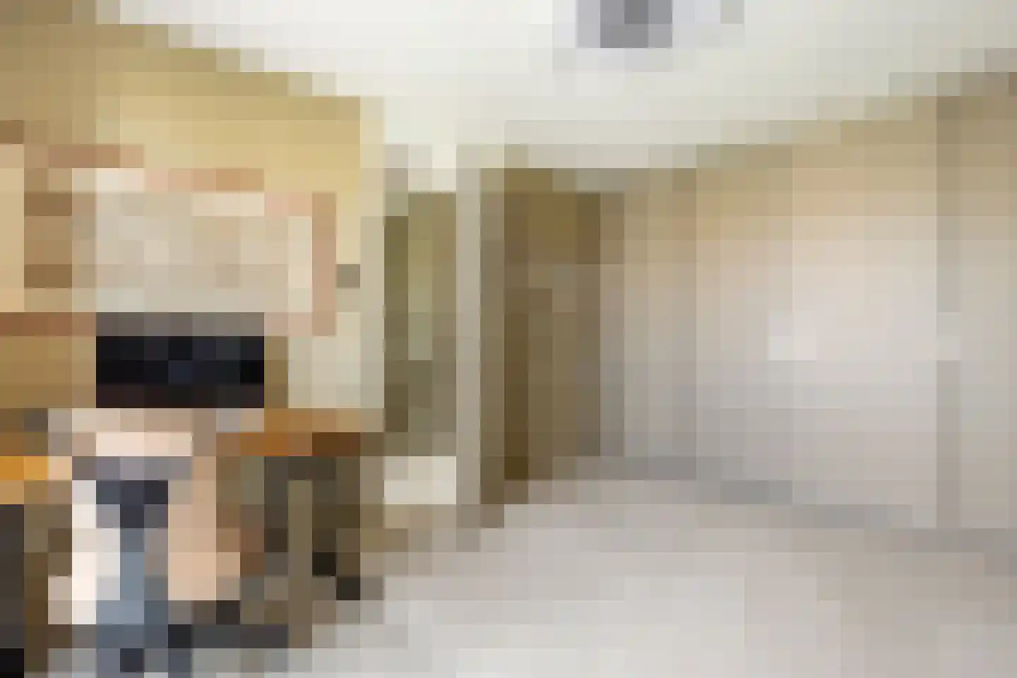 Hendrik Chabotstraat 4 Rhoon thumbnail 38