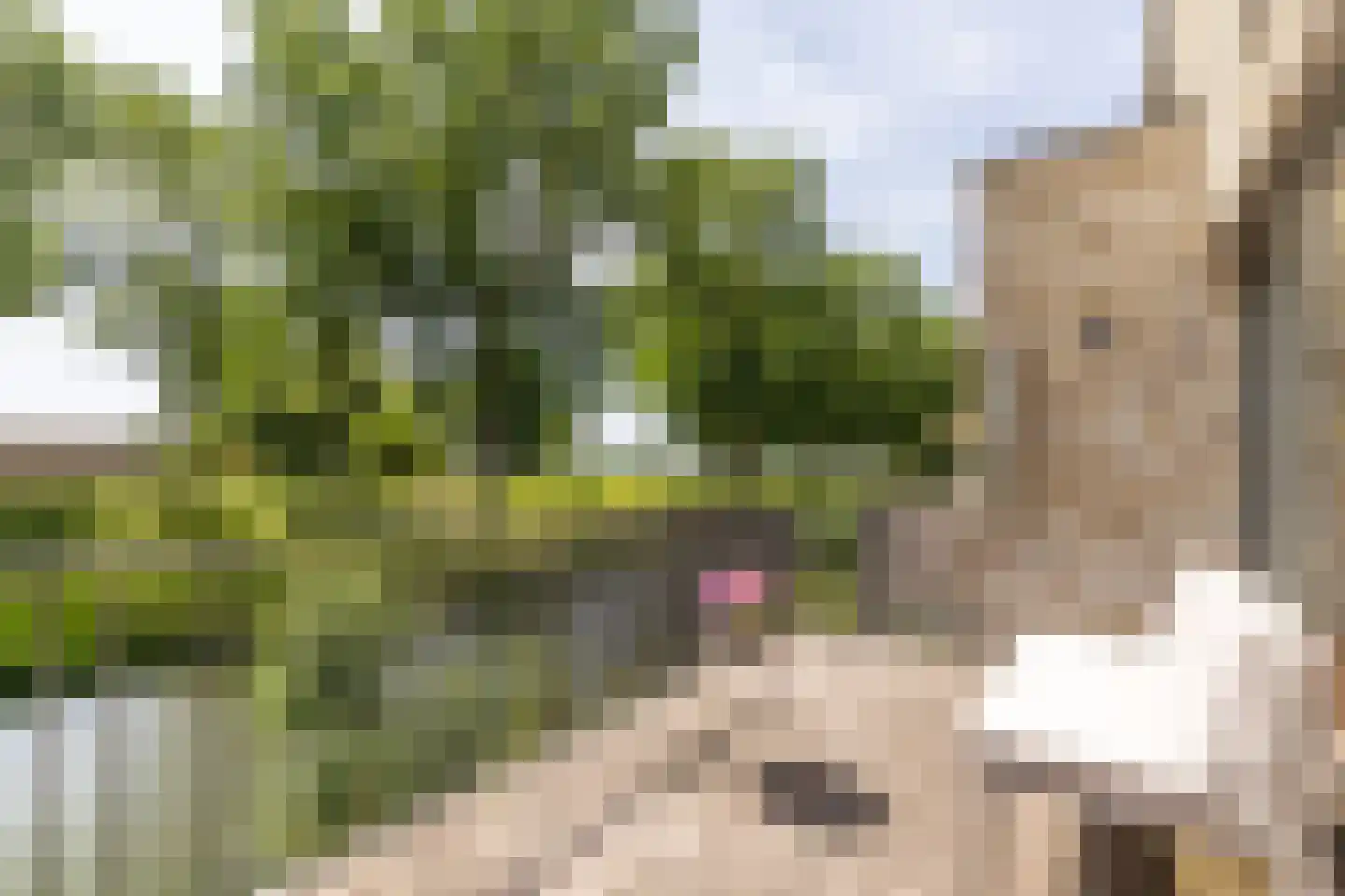 Hendrik Chabotstraat 4 Rhoon thumbnail 4