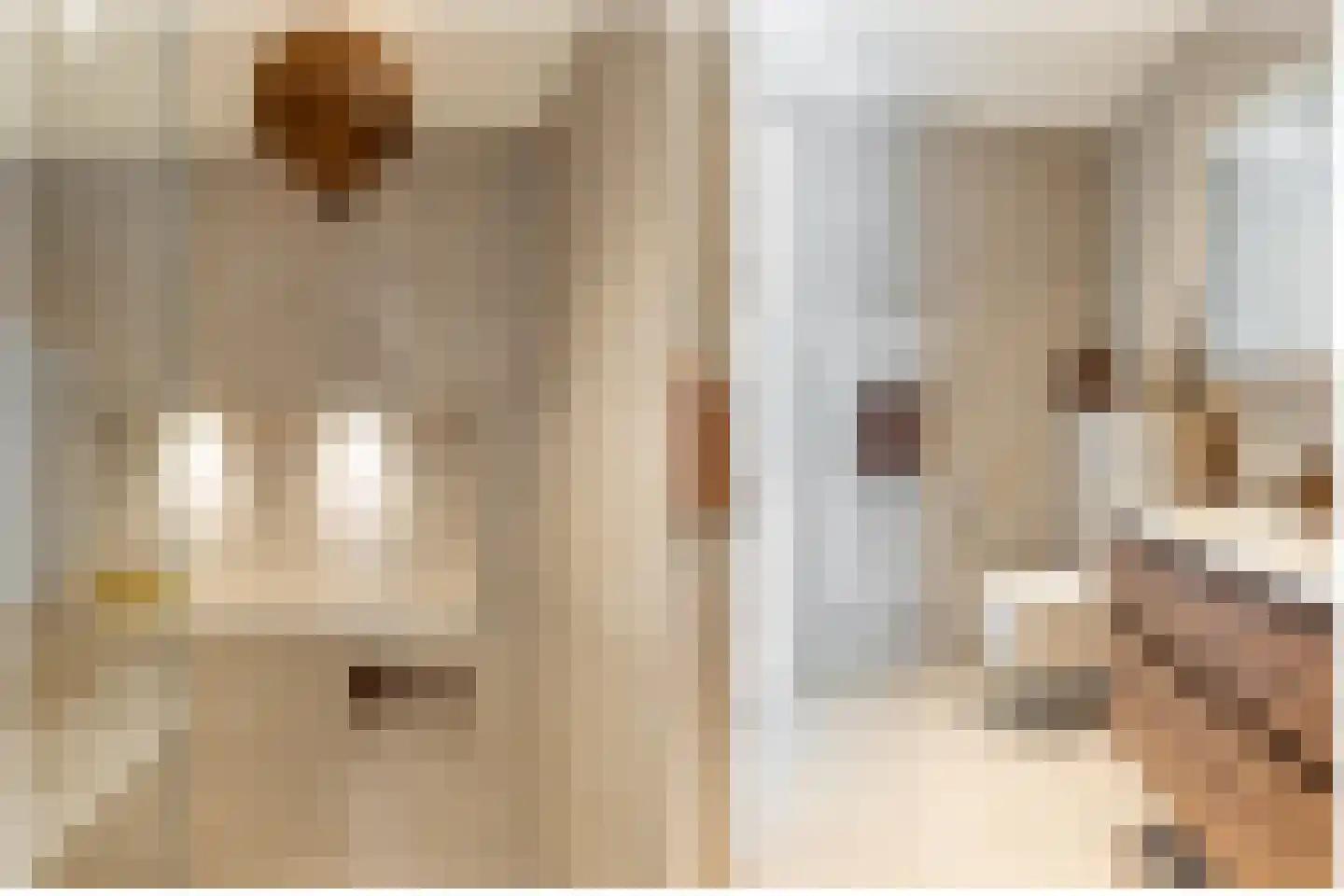 Hendrik Chabotstraat 4 Rhoon thumbnail 41