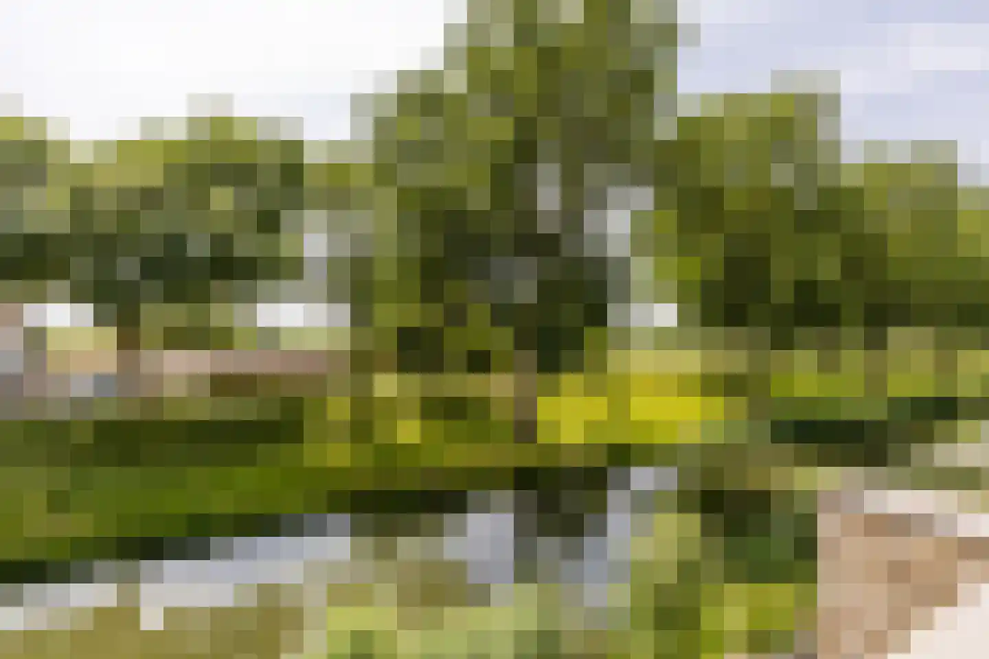 Hendrik Chabotstraat 4 Rhoon thumbnail 42