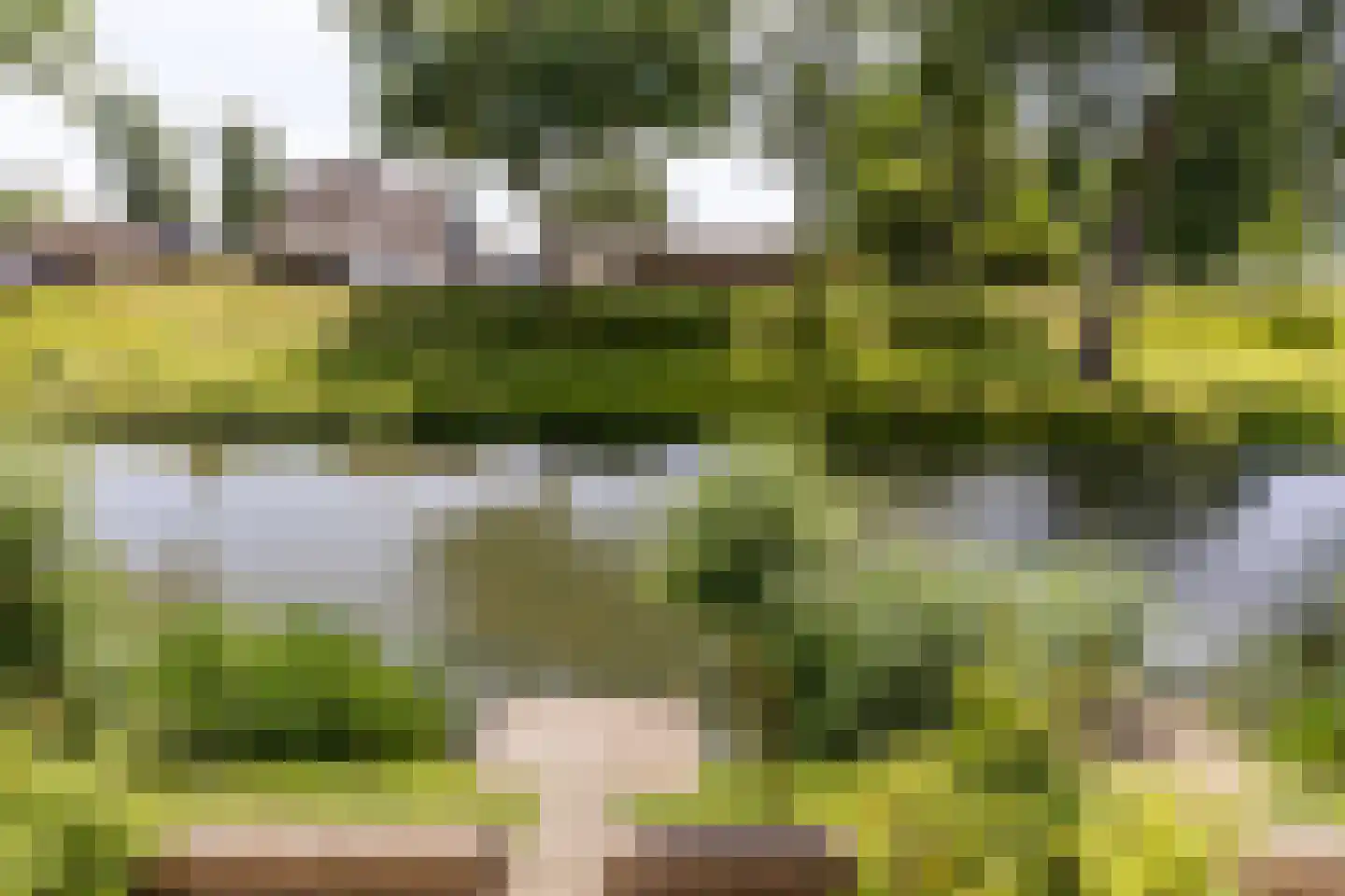 Hendrik Chabotstraat 4 Rhoon thumbnail 43