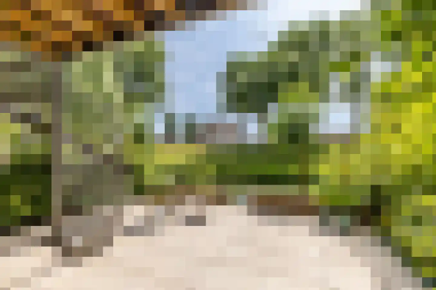 Hendrik Chabotstraat 4 Rhoon thumbnail 46