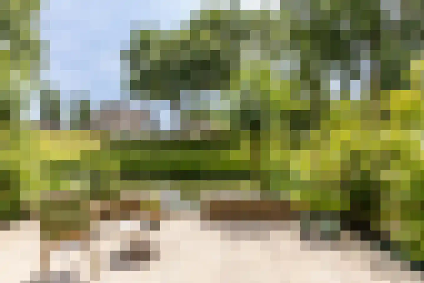Hendrik Chabotstraat 4 Rhoon thumbnail 47